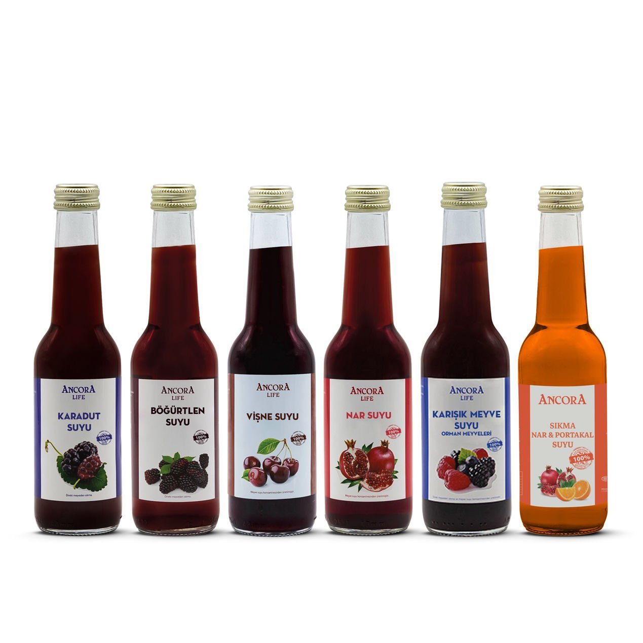 6'lı 250ml. Meyve Suyu Deneme Paketi No.3