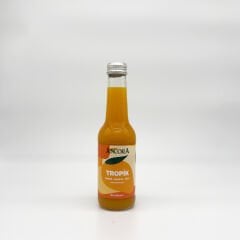 6'lı 250 ml. Tropik Karışık Meyve Suyu